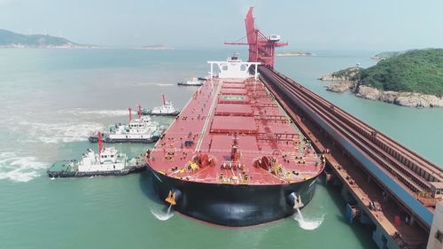 实干奋进正当时 单昼夜出运20.67万吨 鼠浪湖喜迎龙年 开门红