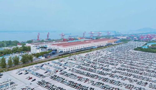 奇瑞销量遥遥领先,全靠价格便宜 大错特错