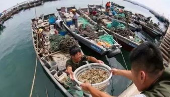 日照美食,四季都无法忘记的味道