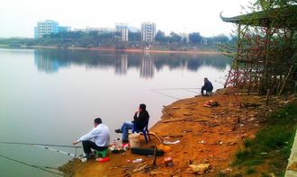 夏钓大型水库,四个关键点要记住
