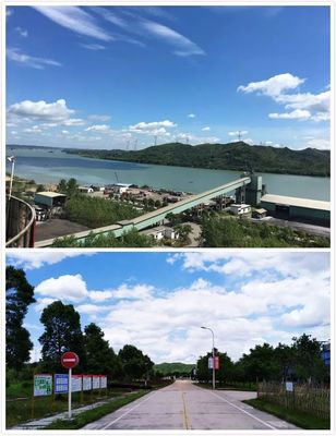 来了!今日微报