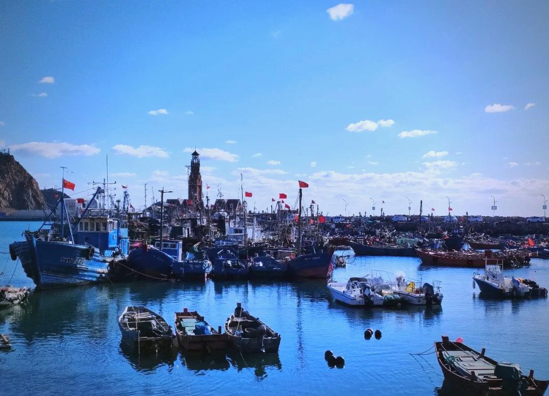 大连老虎滩渔人码头: 四季浪漫与文艺的共鸣