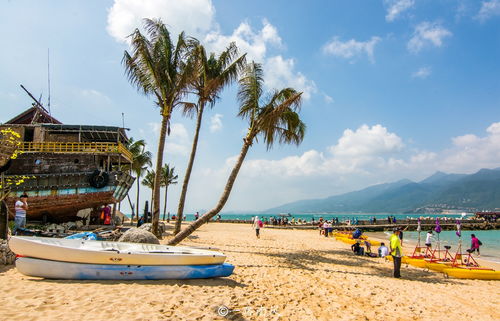 除了三亚，这个海南小县也被东北人“占领”，景色美如画，四季是码头