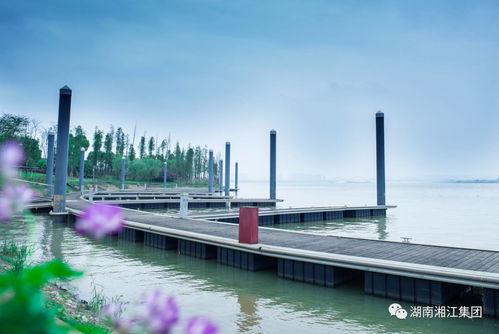 四季码头 城市新晋3A级旅游景区，邀您共赏时光流转之美