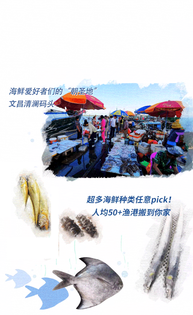 49.9元1斤 礼盒,码头现捕 四季鲜活 即拆即下锅,顺丰0元送到你家