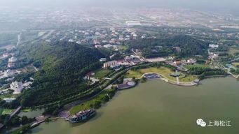 沪上热门景点半价优惠来袭，松江8家乐园等你打卡