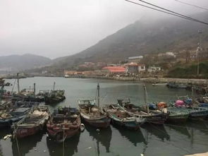 后天起，青岛这些码头和水产市场将人山人海，附买海鲜最全攻略——四季码头指南