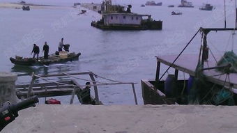 名不虚传的沙田渔港 四季繁荣的鱼货交易码头