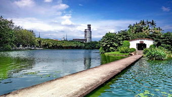 四季码头 请把我留在广州